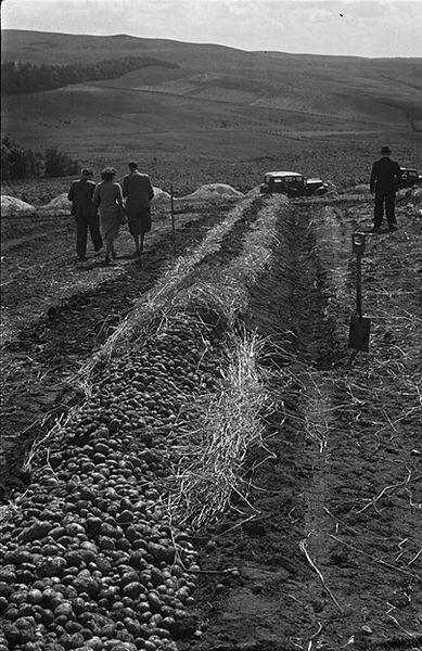 File:Agricultural depression at Carno (15309031380).jpg