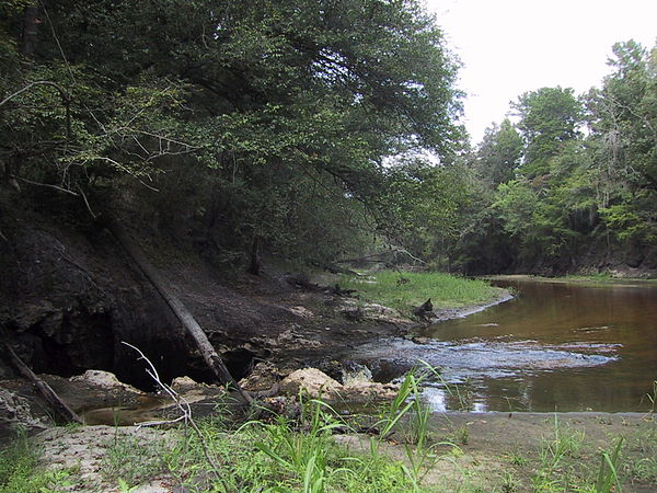 Image of the entire surface water flow of the Alapaha River near Jennings, Florida going into a sinkhole leading to the Floridan Aquifer groundwater.
