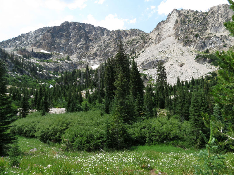 File:Alpine Meadow (14998437399).jpg