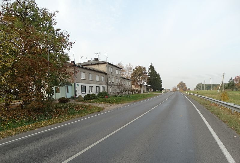 File:Alvitas, gatvė.JPG