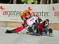 Andrzej Laszczak, Damian Waniczek FIL European Luge Natural Track Championships 2010.jpg