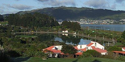 Police College chalets above the Aotea Lagoon, with Rangituhi/Colonial Knob on the skyline above the city centre (obscured) and Elsdon and Takapūwāhia