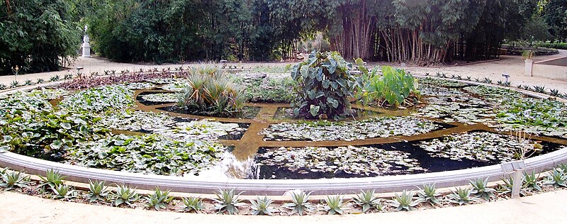 File:Aquarium03 Orto botanico Palermo.jpg