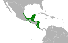 Aramides albiventris map.svg
