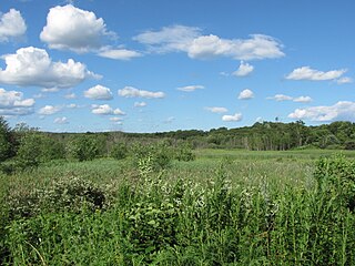 <span class="mw-page-title-main">Arlington's Great Meadows</span> American nature preserve