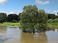 Vorschaubild der Version vom 17:22, 18. Aug. 2017