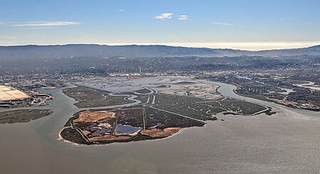 Bair Island aerial