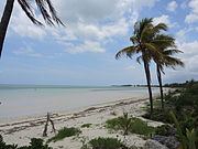 Beach on the island of Apostola