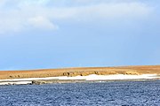 Baie de Barents (76° 27′ N, 68° 42′ E).