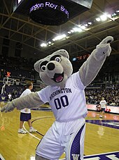 The costumed mascot, Harry the Husky, at a basketball game. Basketball 1.JPG