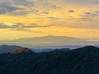 <span class="mw-page-title-main">Mount Benum</span> Mountain in Malaysia