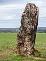 Menhir Benzingerode