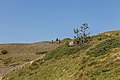 * Nomination Mountain trip from Arosa via Scheideggseeli (2080 meter) en Ochsenalp (1941 meter) to Tschiertschen. Mountain bikers on the mountain road. --Famberhorst 17:06, 12 October 2017 (UTC) * Promotion Good quality --Llez 17:28, 12 October 2017 (UTC)