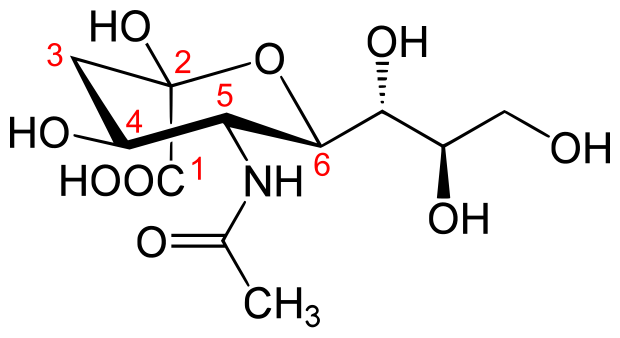 File:Beta N-Acetylneuraminic Acid num.svg