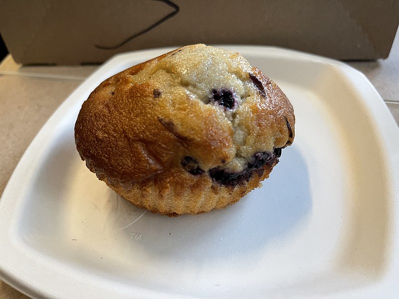 File:Blueberry muffin on Amtrak's Cardinal - June 2022 - Sarah Stierch 03.jpg