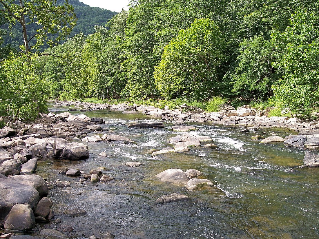 Bluestone River