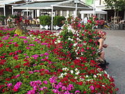 Category:Waltherplatz (Bozen-Bolzano) - Wikimedia Commons