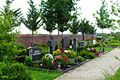 Friedhof in Borschemich neu