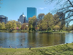 Boston Public Garden