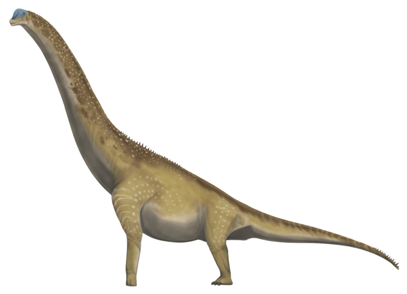 File:Brachiosaurus altithorax side profile.png