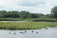 Брэндон Марш East Marsh Pool.jpg