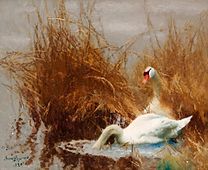 Swans, 1920