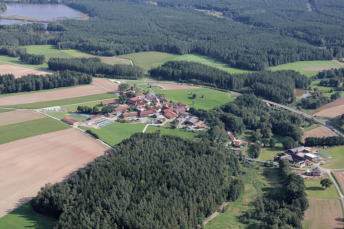 Buch (Altenstadt an der Waldnaab)