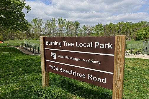 Burning Tree Local Park, Bethesda, MD