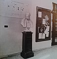 Busto di Ainardo Benso di Cavour dentro l'Istituto Amedeo Avogadro di Torino.jpg