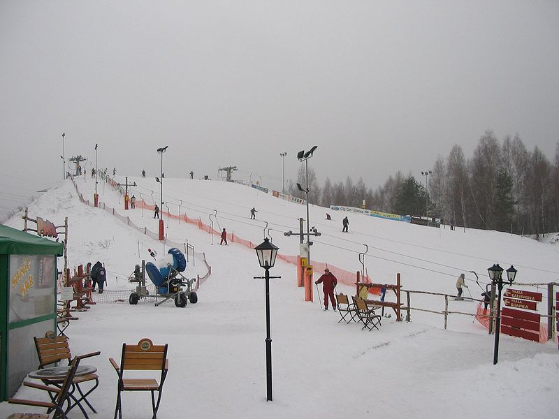 File:Bytom-Sucha Góra-Dolomity (stok narciarski).jpg
