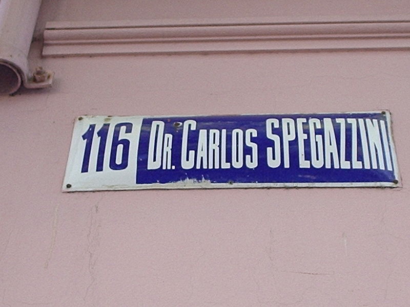 File:Calle116 Spegazzini.JPG