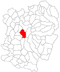 Caraș-Severin County'deki yer