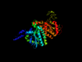 Carboxytransferase 2F9Y E-Coli.png