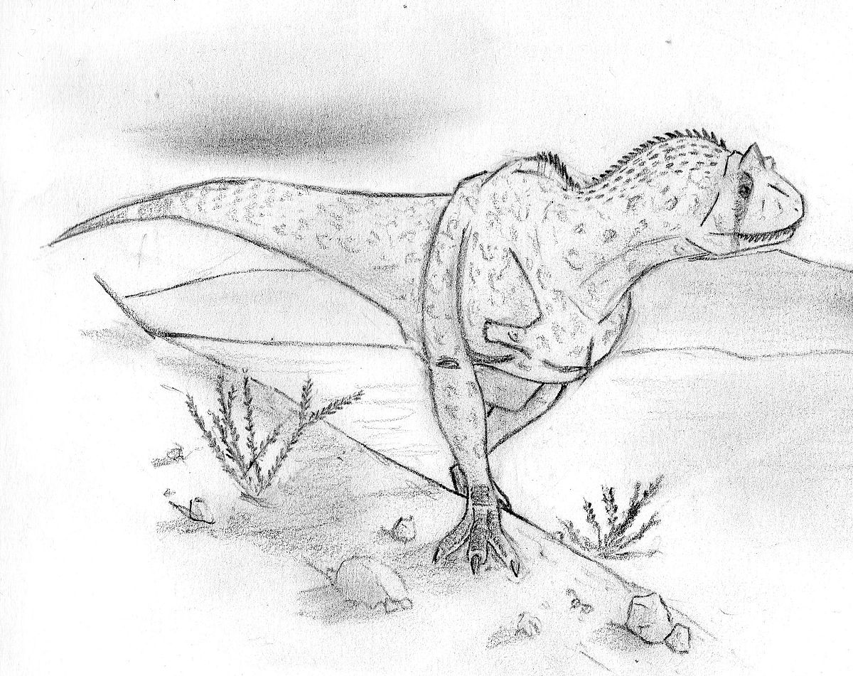 File Carnotaurus Sastrei Jpg Wikimedia Commons