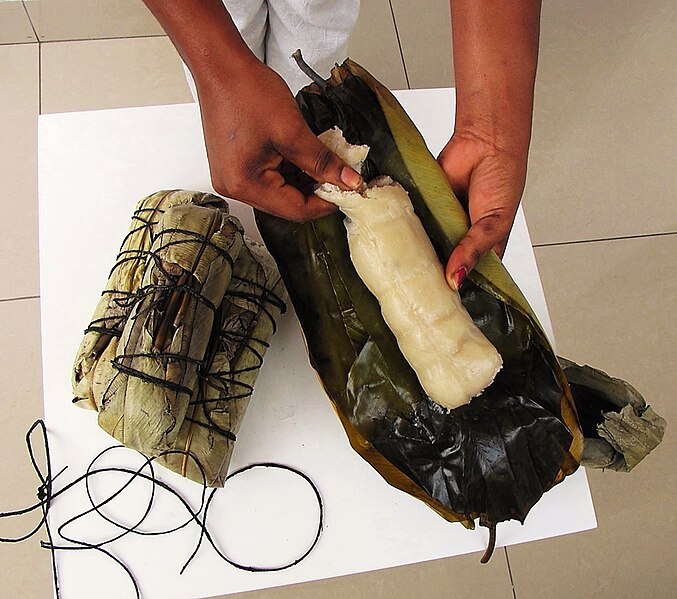 File:Cassava Bread - cassava cooked in leaf wrap (Kwanga, Chikwangue).jpg