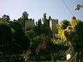 Castelo de Torres Novas (26).JPG