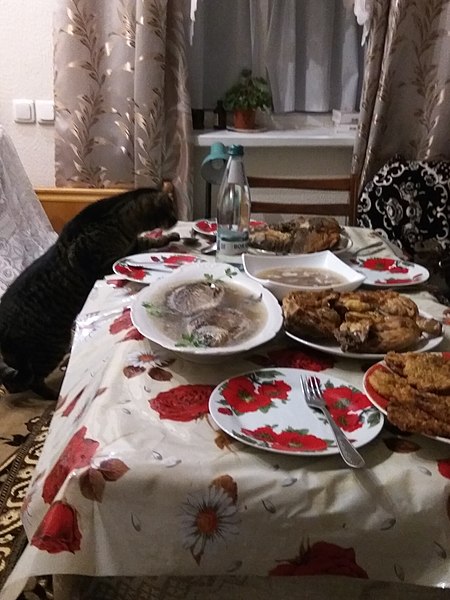 File:Cat wants smth from the table 1.jpg