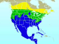 Distribución: Amarillo: estival Verde: todo el año Azul: invernal