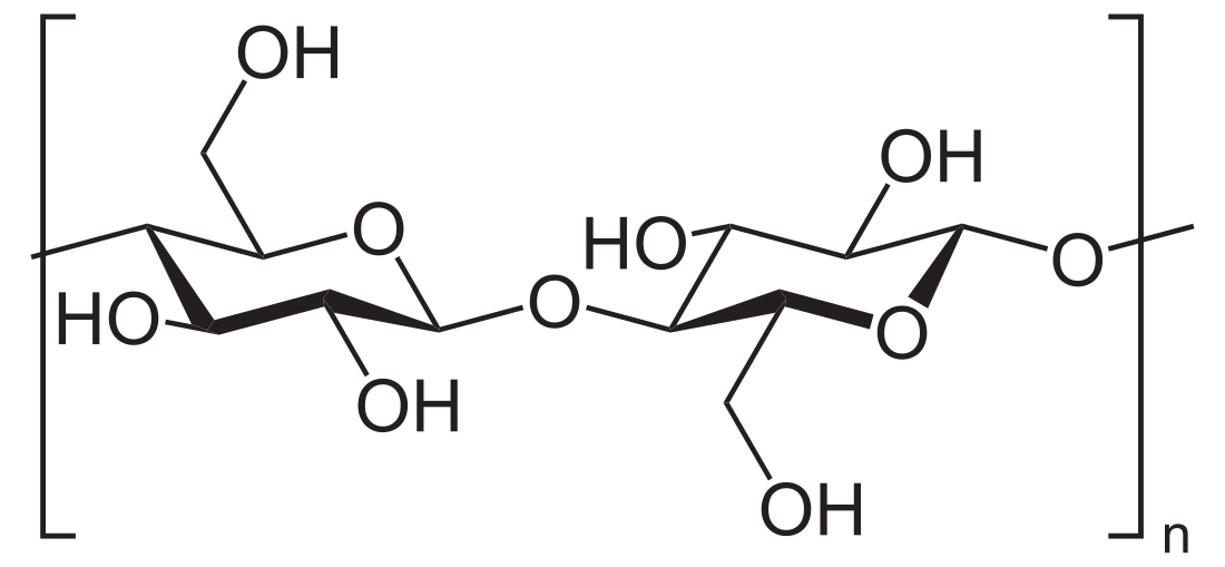 Β-葡聚糖