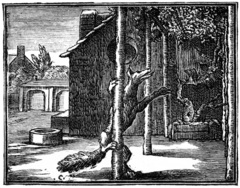 The illustration of the fable by Francois Chauveau in the first volume of La Fontaine's fables, 1668 Chauveau - Fables de La Fontaine - 03-11.png