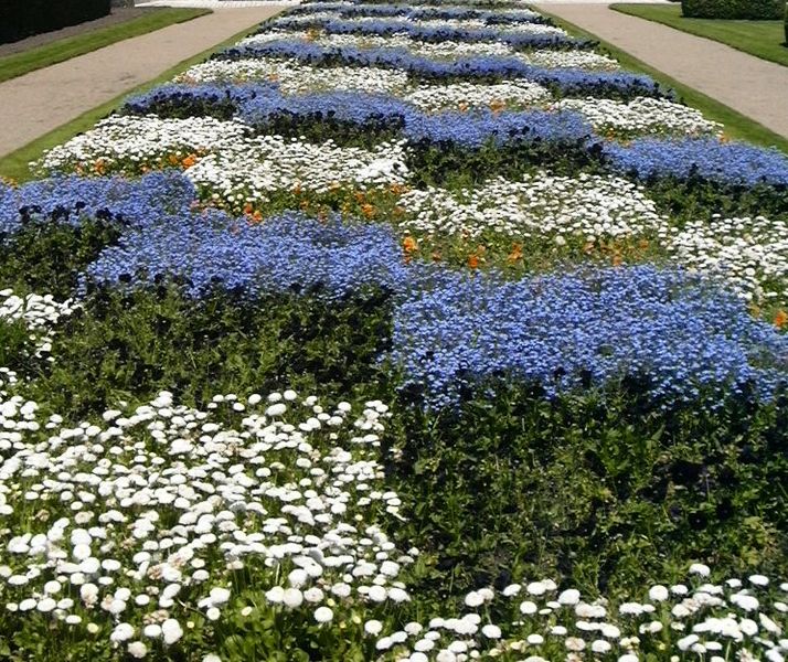 File:Checkered garden in Tours, France.jpg