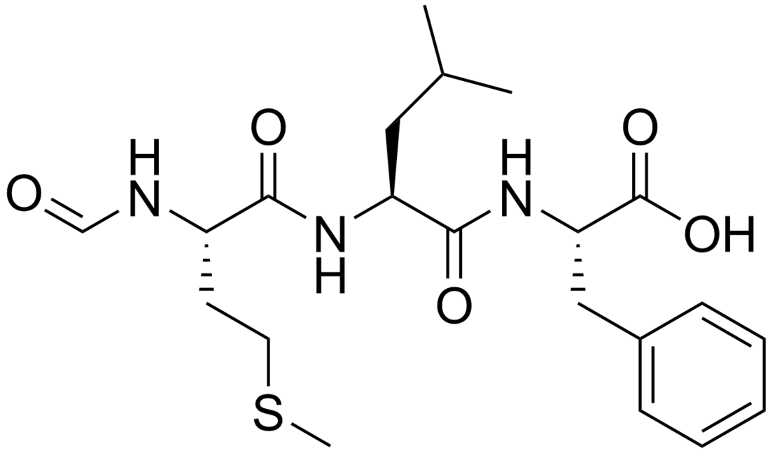 File:Chemotactic peptide.png