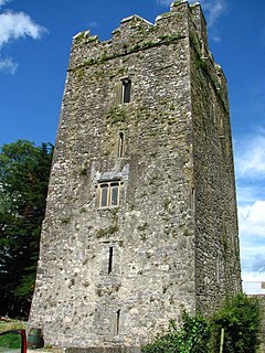 <span class="mw-page-title-main">Clara Castle</span> Tower house in County Kilkenny, Ireland