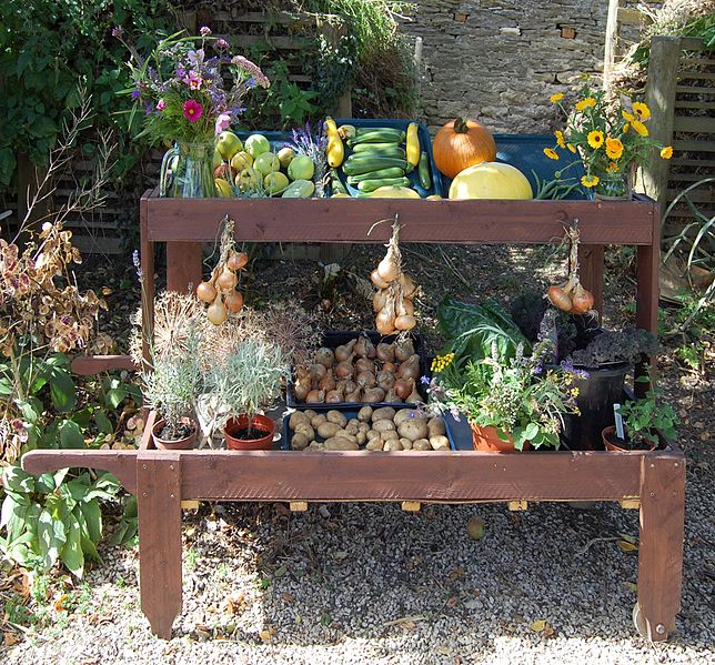 File:Cogges Manor Farm - display of vegetables grown by volunteers.jpg
