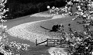 <span class="mw-page-title-main">Contour plowing</span> Farming practice