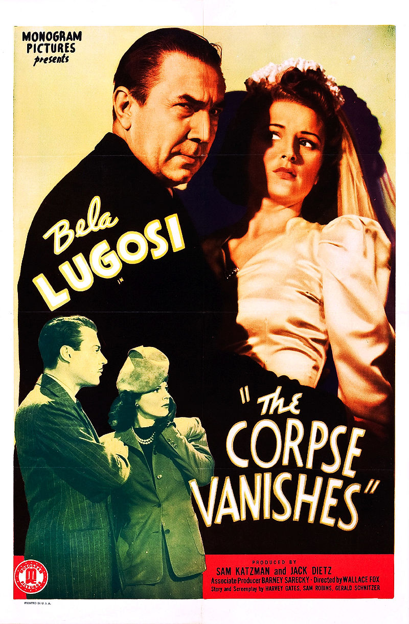 Vanish (film) - Wikipedia