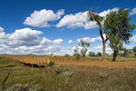 Thumbnail for Cottonwood Creek Bridge (Ismay, Montana)