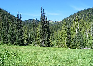 <span class="mw-page-title-main">Glade (geography)</span> Open area within a woodland