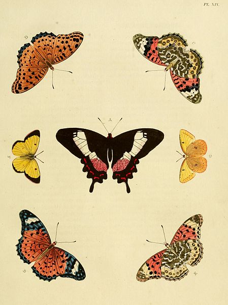 File:Cramer&Stoll-uitlandsche kapellen vol. 1- plate 014.jpg