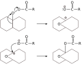 Miniatuur voor Bestand:Criegee thermal rearrangement esters.svg